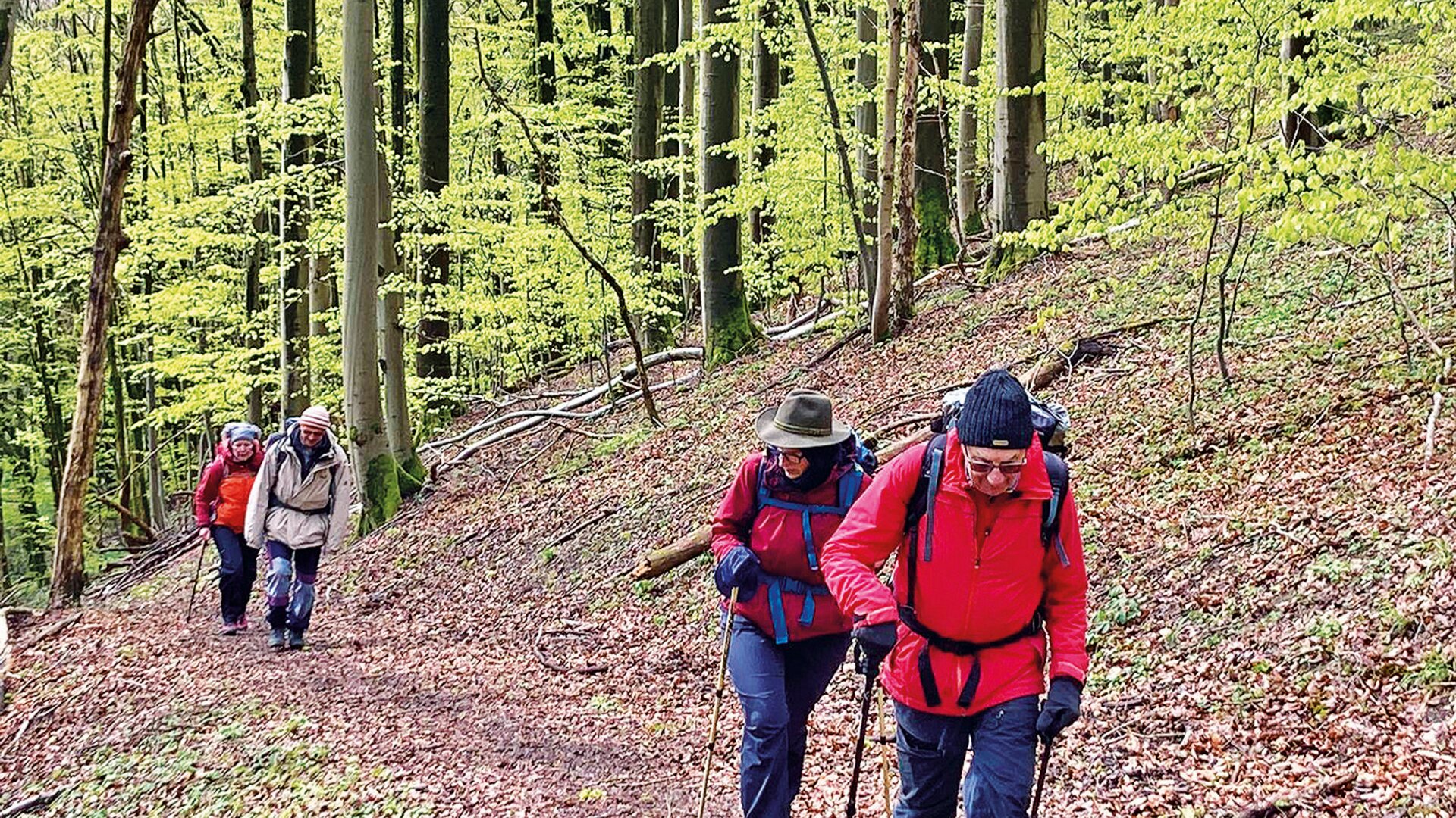 Wandergruppe Volker Sauerbrunn | © Volker Sauerbrunn